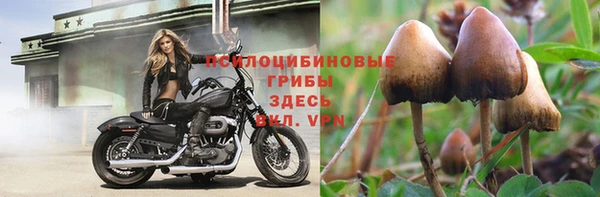 не бодяженный Алексин
