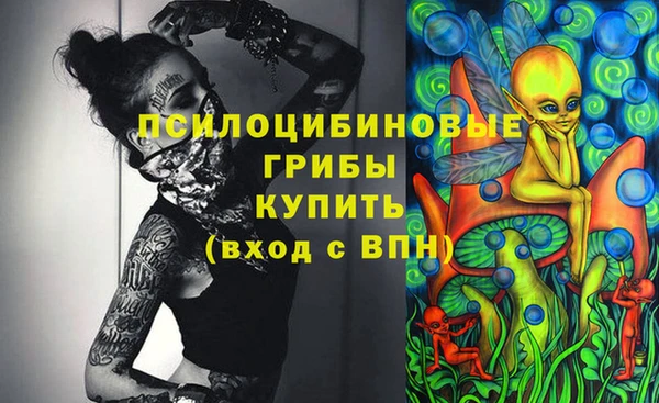 не бодяженный Алексин
